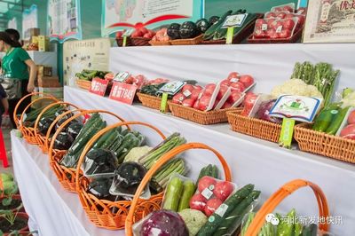 打造京津冀农产品产销对接平台丨京津冀第二届蔬菜产销对接大会在河北新发地开幕